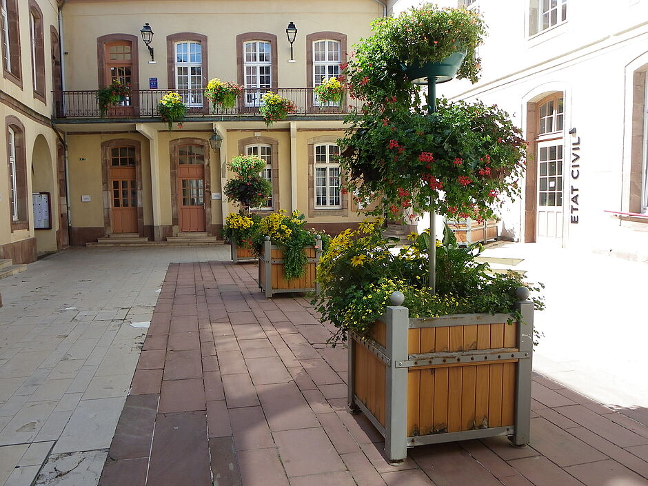 Bacs et jardinières, cour intérieur de l'Hôtel de Ville. - Agrandir l'image, . 0octets (fenêtre modale)