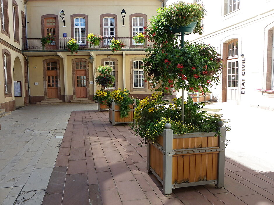 Bacs et jardinières, cour intérieur de l'Hôtel de Ville. - Agrandir l'image, . 0octets (fenêtre modale)