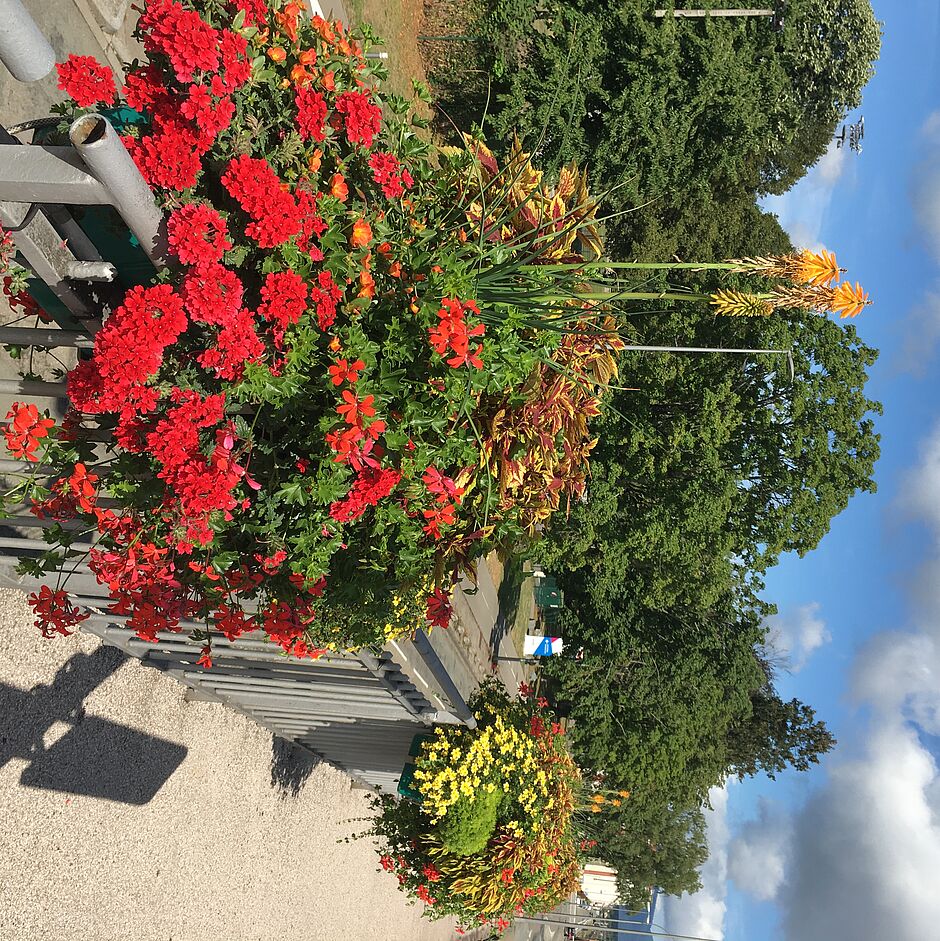 Jardinières du pont de Roubaix. - Agrandir l'image, . 0octets (fenêtre modale)