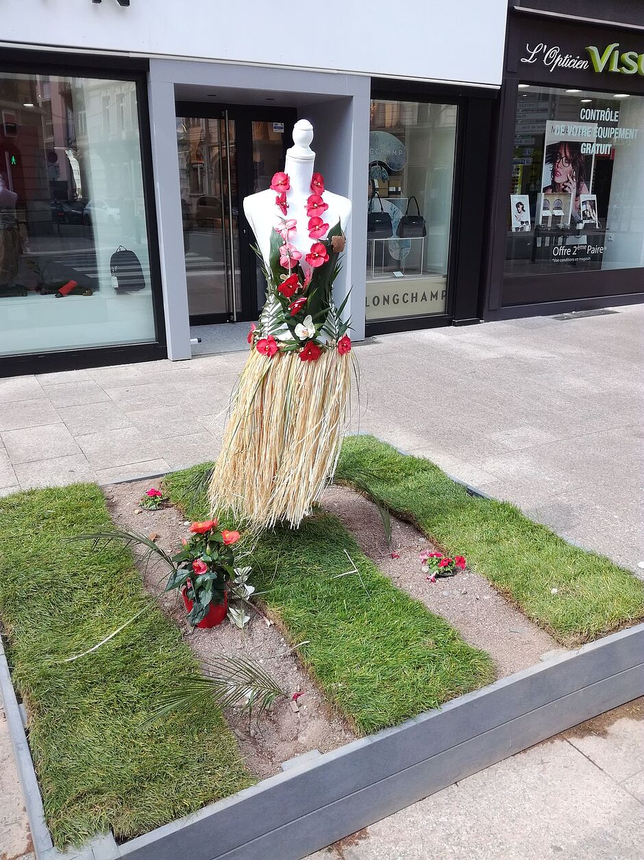 Massif de l'entreprise Vivez en rose, Boulevard Carnot. Photo prise le 4 mai 2018. - Agrandir l'image, . 0octets (fenêtre modale)