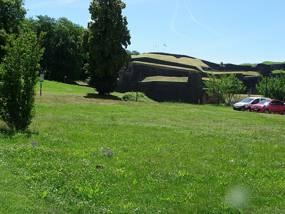 Vue sur les remparts et une prairie fleurie, côté Avenue du Capitaine de la Laurencie. Photo prise le 22 juin 2018. - Agrandir l'image, . 0octets (fenêtre modale)