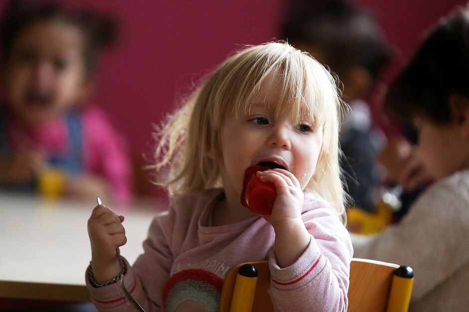 Agrandir l'image, .JPG 170Ko (fenêtre modale)