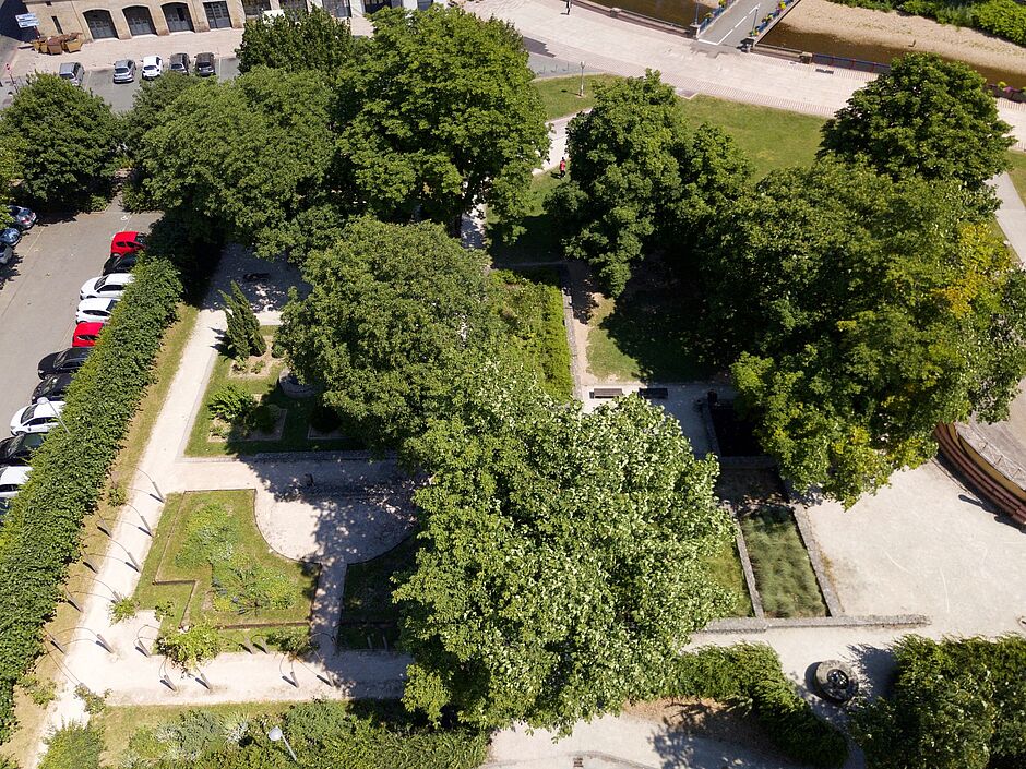 Jardin du 700ème, Marronniers d'Inde. - Agrandir l'image, . 0octets (fenêtre modale)