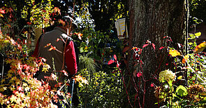 Marche aux plantes d'automne