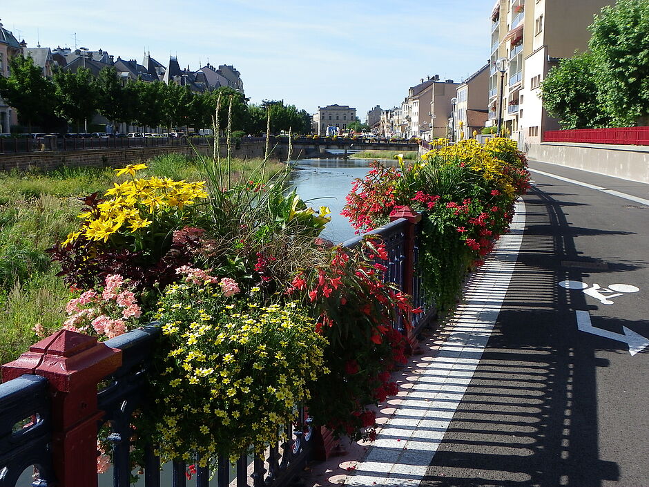 Jardinières du Quai Charles Vallet. - Agrandir l'image, . 0octets (fenêtre modale)