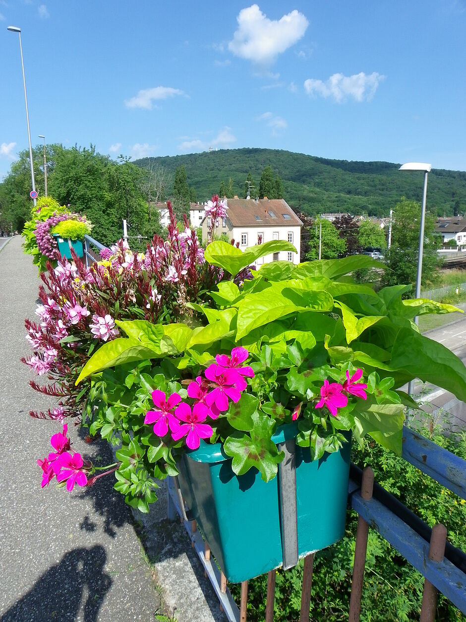 Les jardinières du pont sur les voies ferrées rue de la 1ère Armée Française, direction Cravanche. Photo prise le 21 juin 2018. - Agrandir l'image, . 0octets (fenêtre modale)