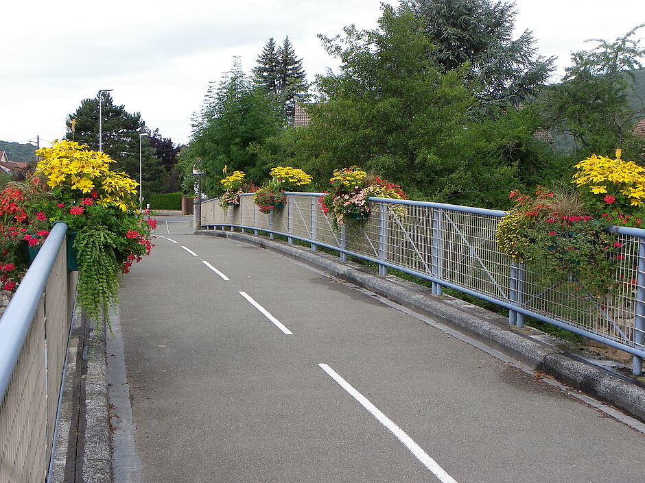 Jardinières de la passerelle François Mitterrand. - Agrandir l'image, . 0octets (fenêtre modale)