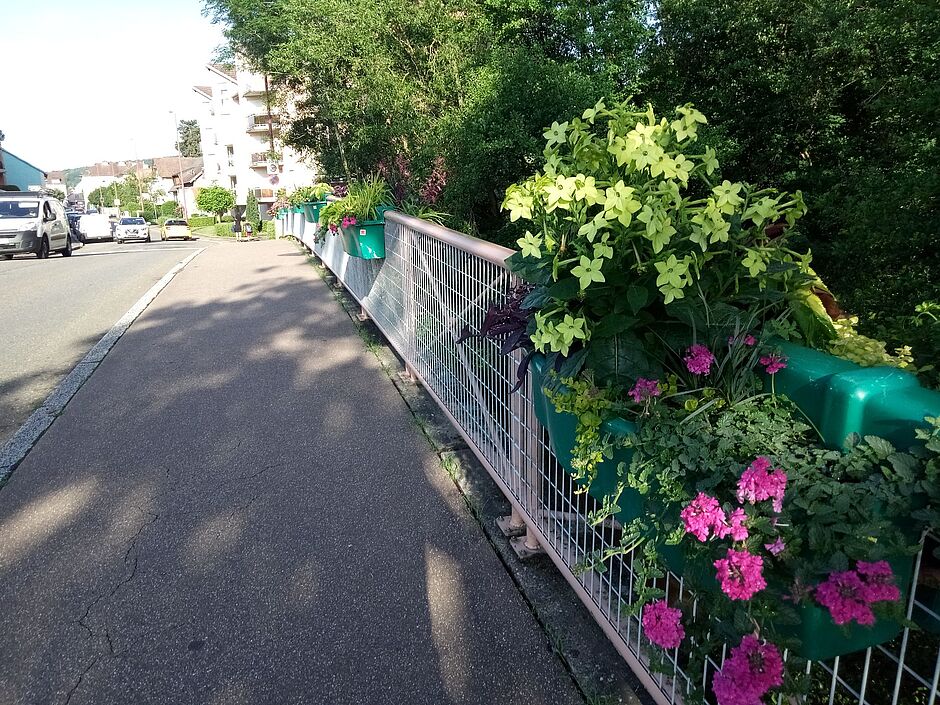 Les jardinières du pont de Garigliano sur la Savoureuse. Photo prise le 31 mai 2018. - Agrandir l'image, . 0octets (fenêtre modale)