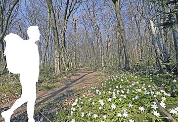 Finances Ville de Belfort