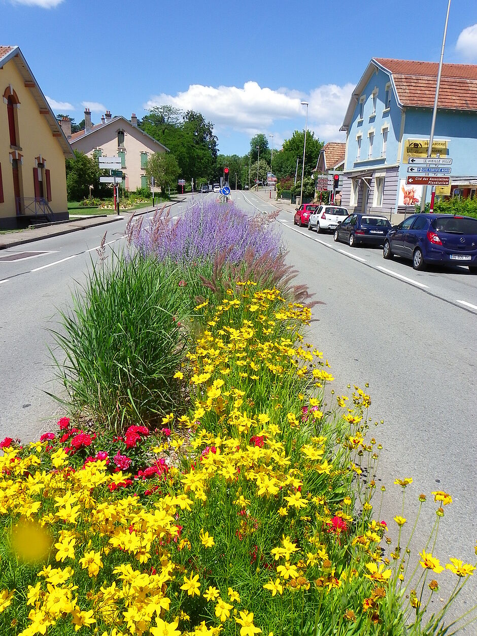 Vue du terre plein central fleuri, Avenue du Capitaine de la Laurencie. Photo prise le 28 juin 2018. - Agrandir l'image, . 0octets (fenêtre modale)