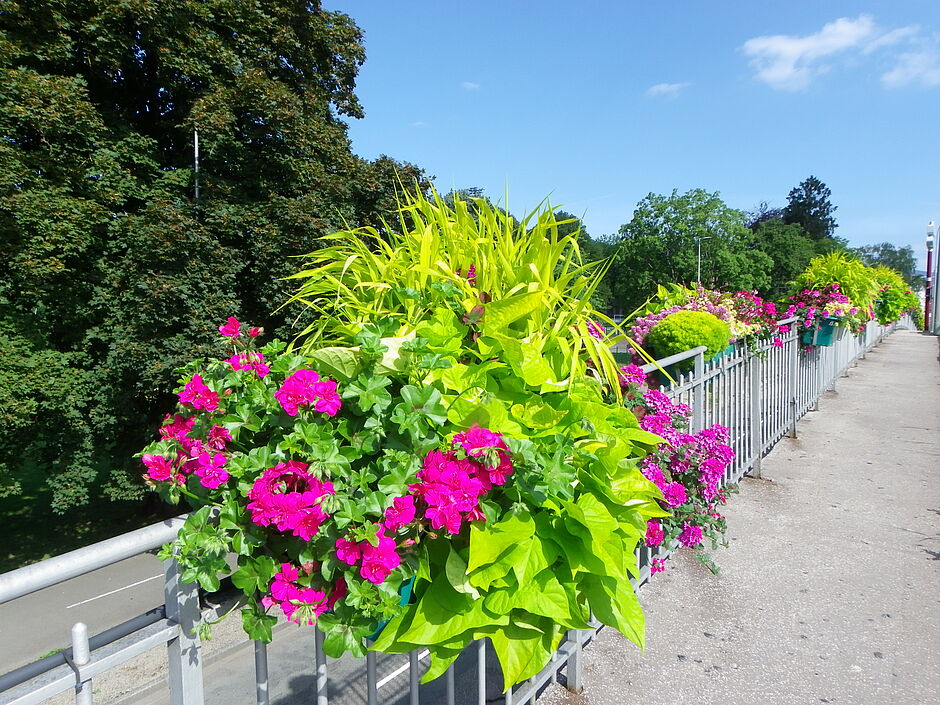 Les jardinières du pont sur les voies ferrées de la rue de Roubaix, direction Alstom. Photo prise le 21 juin 2018. - Agrandir l'image, . 0octets (fenêtre modale)