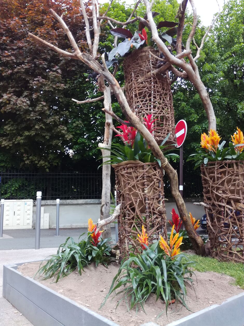 Massif de l'entreprise Coquelicot, Boulevard Carnot. Photo prise le 4 mai 2018. - Agrandir l'image, . 0octets (fenêtre modale)