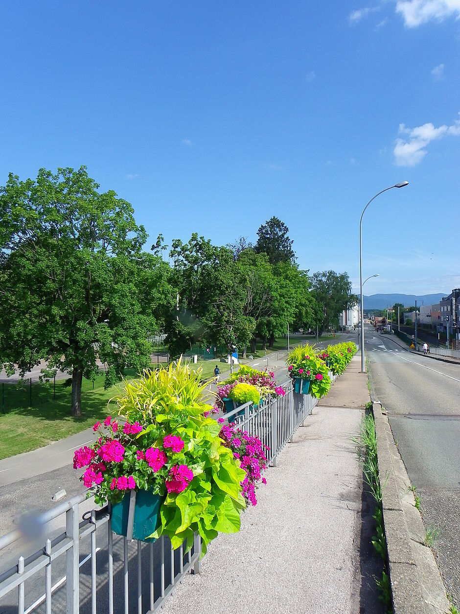 Les jardinières du pont de la rue de Roubaix, direction Alstom. Photo prise le 21 juin 2018. - Agrandir l'image, . 0octets (fenêtre modale)