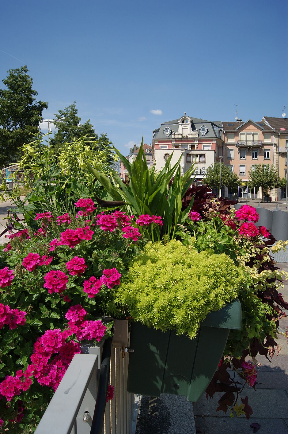 Jardinières rue du Pont neuf. Photo prise le 06/09/18 - Agrandir l'image, . 0octets (fenêtre modale)