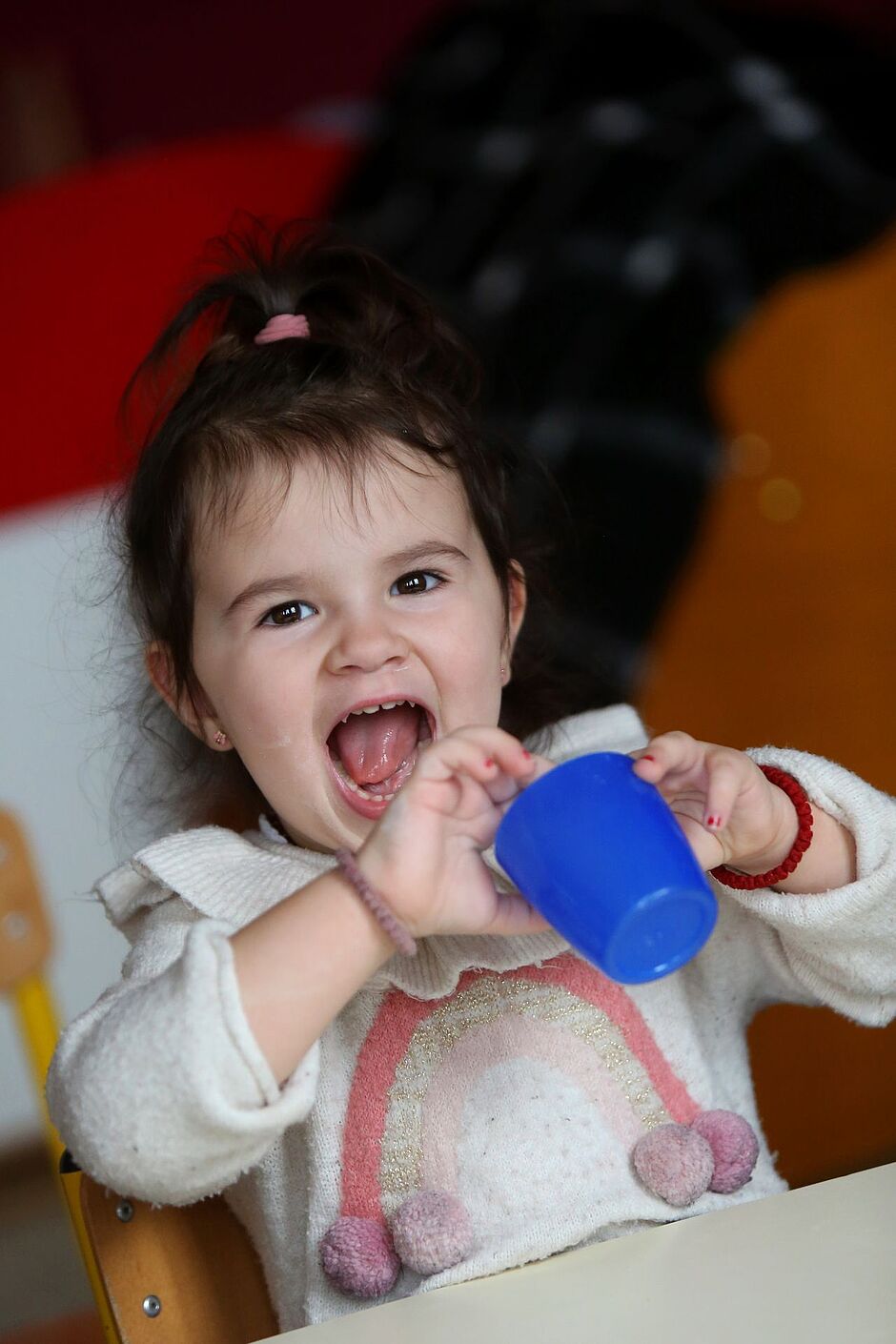 Agrandir l'image, .JPG 167Ko (fenêtre modale)