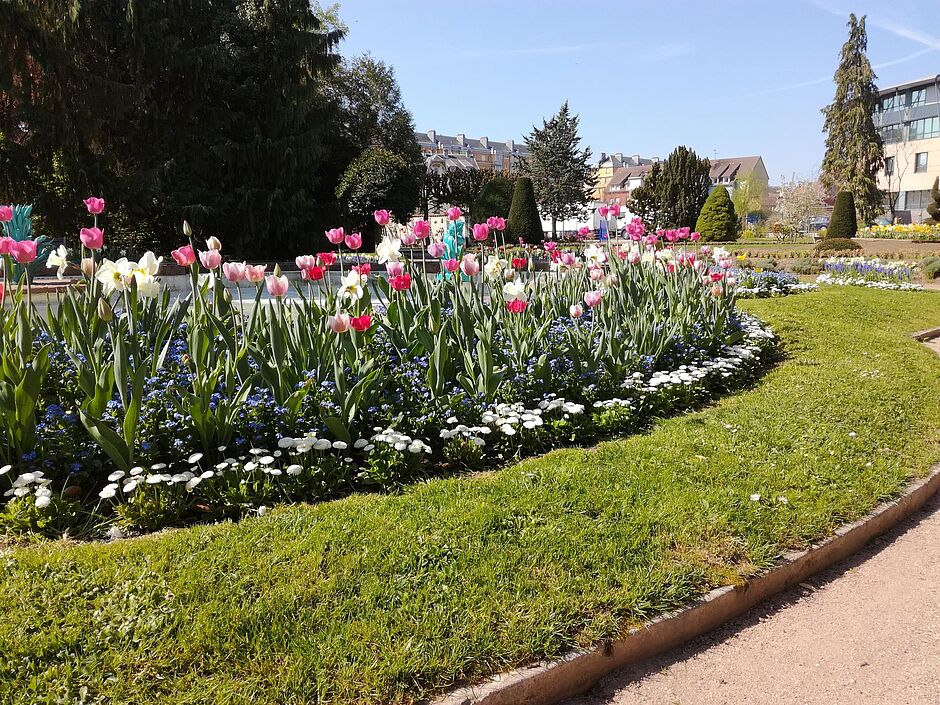 Massif fleuri, bassin du square Émile Lechten. - Agrandir l'image, . 0octets (fenêtre modale)