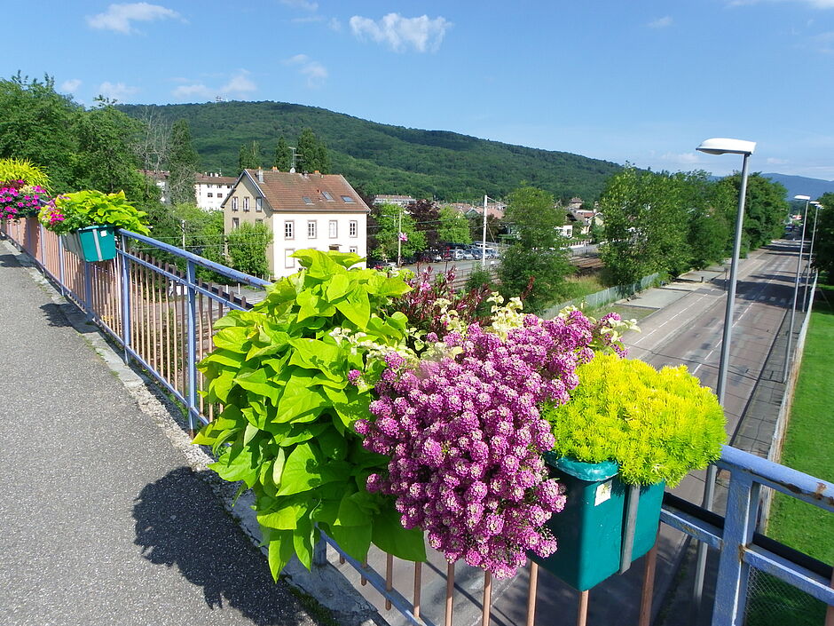 Les jardinières du pont sur les voies ferrées rue de la 1ère Armée Française, direction Cravanche. Photo prise le 21 juin 2018. - Agrandir l'image, . 0octets (fenêtre modale)