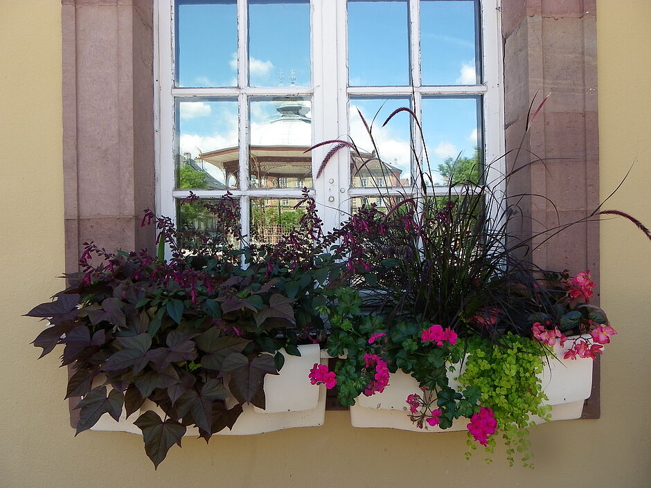 Ensemble de deux jardinières en place sur la façade de l'Hôtel de Ville. Photo prise le 29 juin 2018. - Agrandir l'image, . 0octets (fenêtre modale)