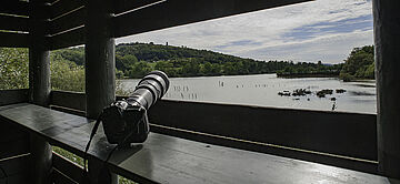 Agrandir l'image (fenêtre modale)