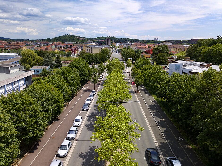 Boulevard Anatole France, Platanes et Métasequoia. - Agrandir l'image, . 0octets (fenêtre modale)