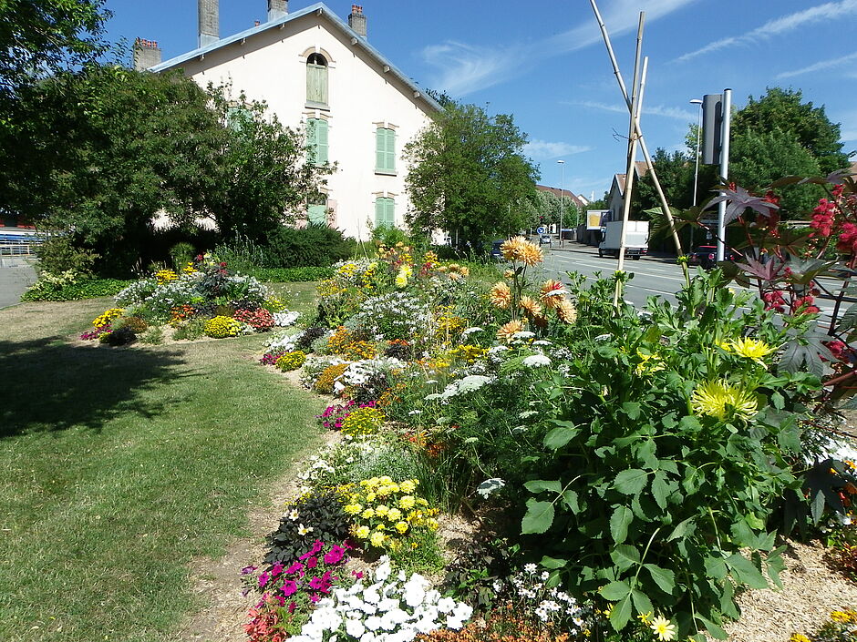 Massif de la rue Jean-Pierre Melville, Quartier Fourneaux/Vieille Ville. - Agrandir l'image, . 0octets (fenêtre modale)