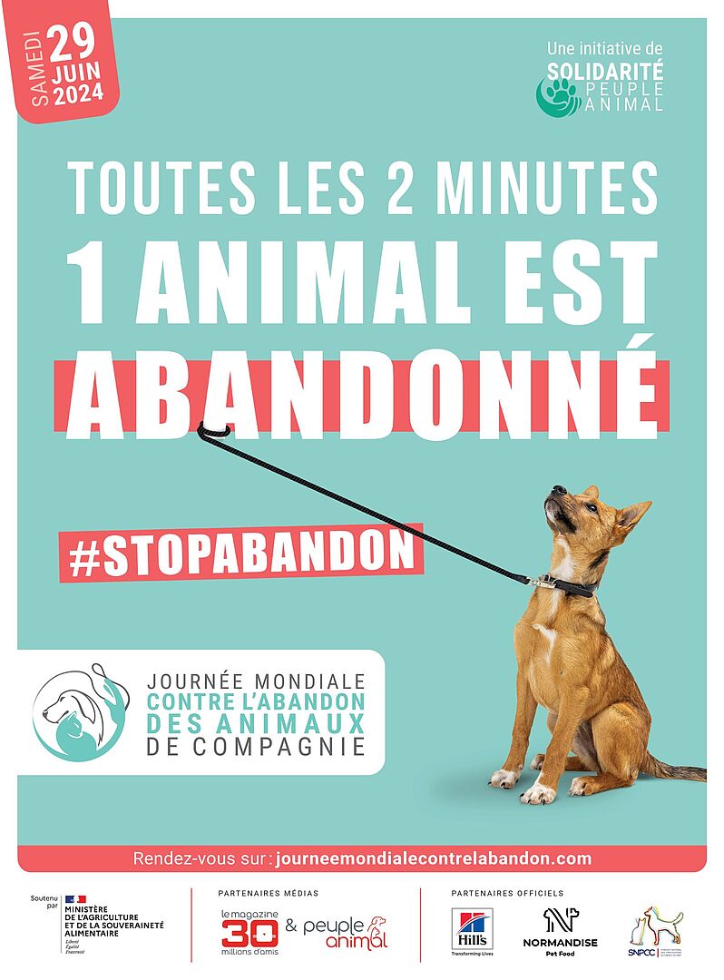 belfort-dit-non-l-abandon-des-animaux-de-compagnie-ville-de